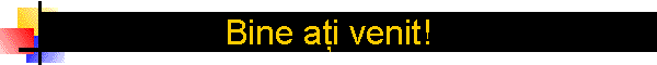 Bine aţi venit!
