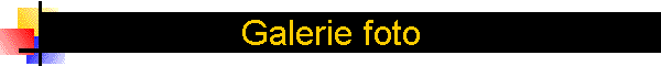 Galerie foto